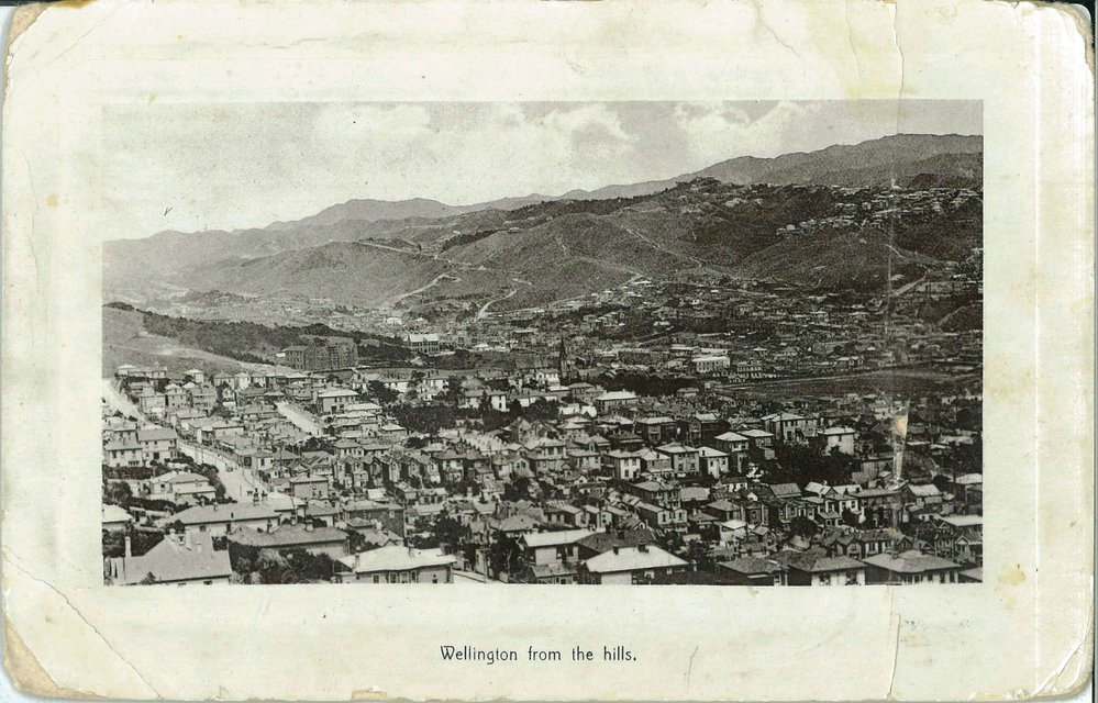 Wellington from the hills