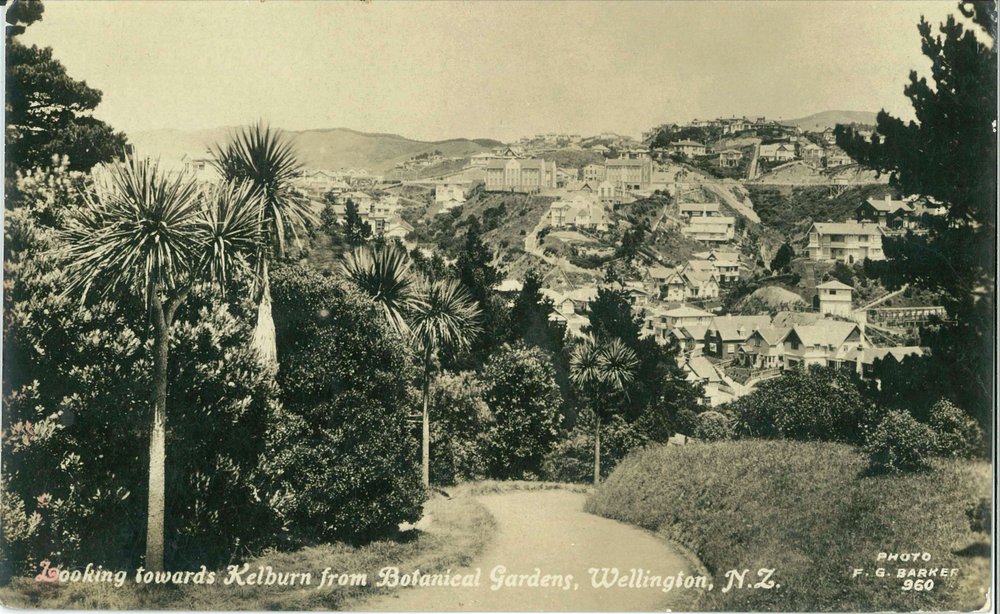 Looking towards Kelburn from Botanical Gardens, Wellington. N.Z.