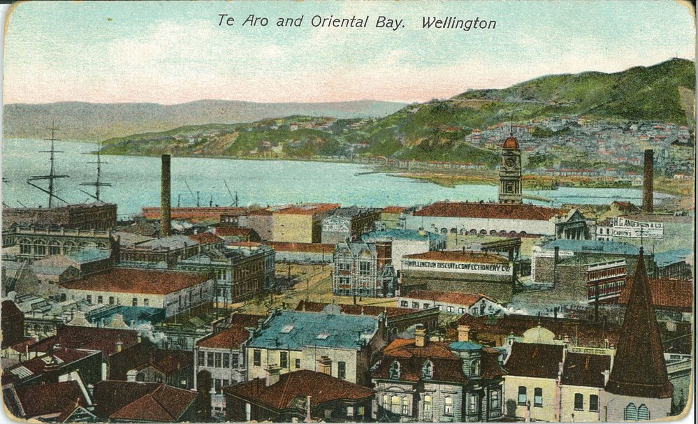 Te Aro and Oriental Bay