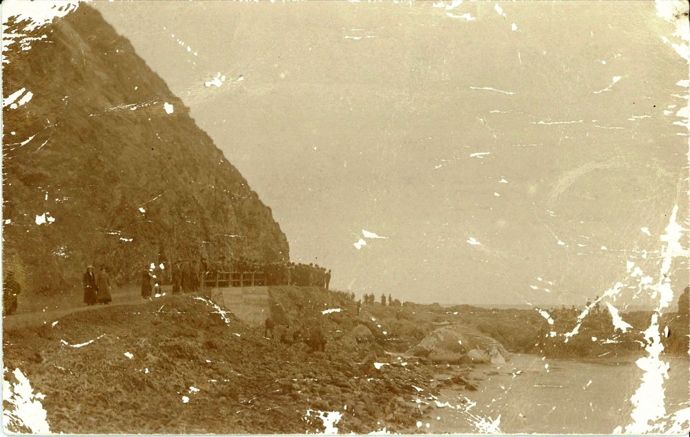 The Whale at Lyall Bay