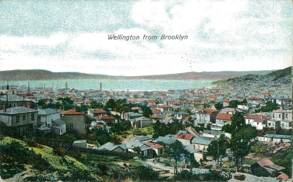 Wellington from Brooklyn