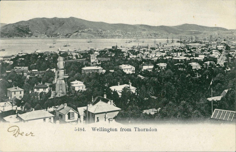 Wellington from Thorndon