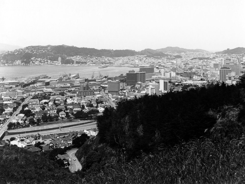 Thorndon and the CBD