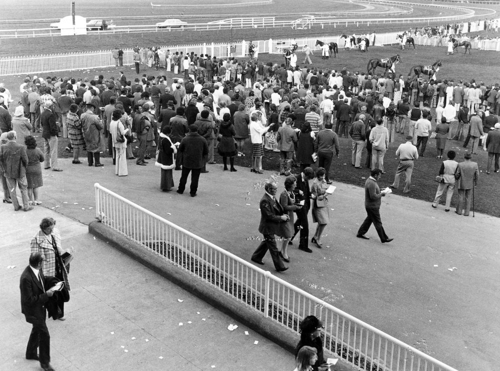 Horse racing at Trentham