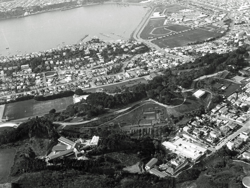 Wellington Town Belt