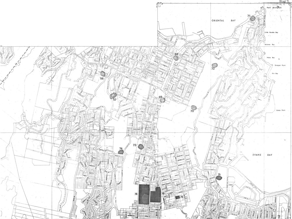 Nga Waahi Taonga Map 3