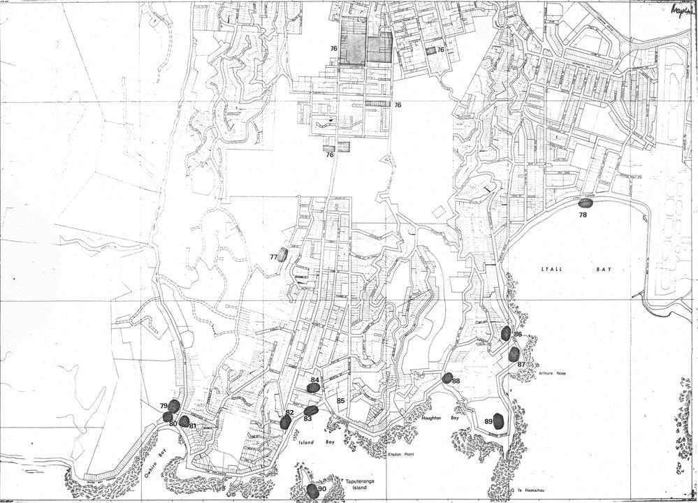 Nga Waahi Taonga Map 4