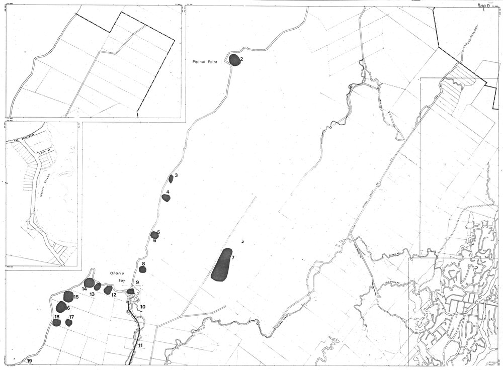 Nga Waahi Taonga Map 10