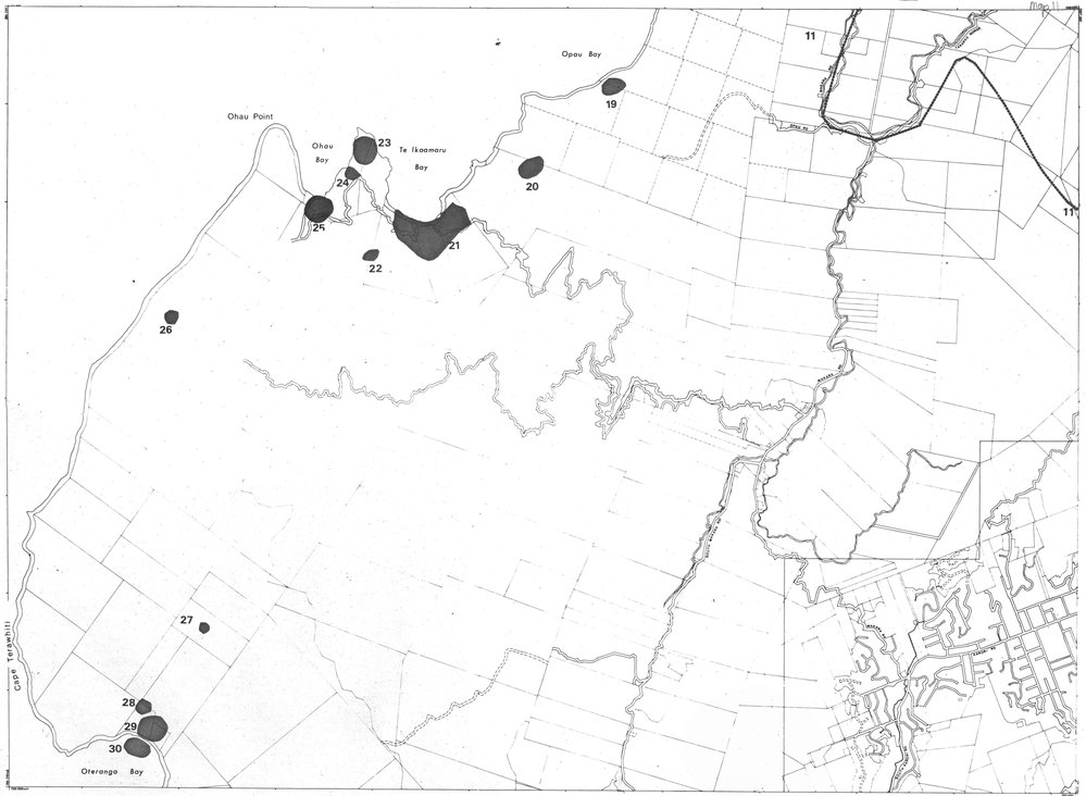Nga Waahi Taonga Map 11