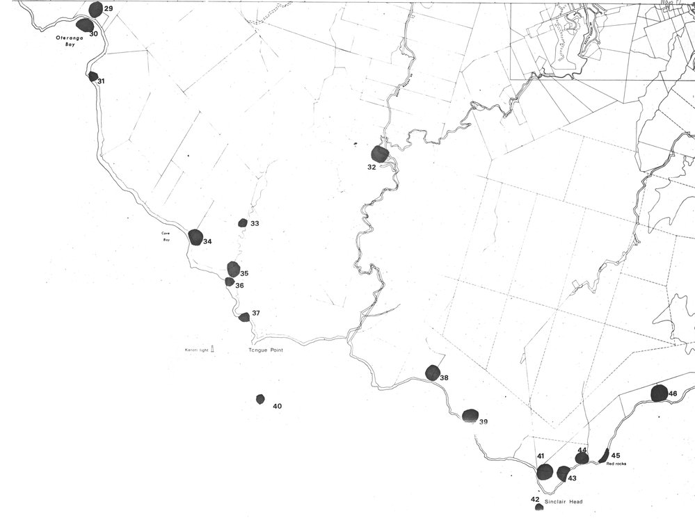 Nga Waahi Taonga Map 12