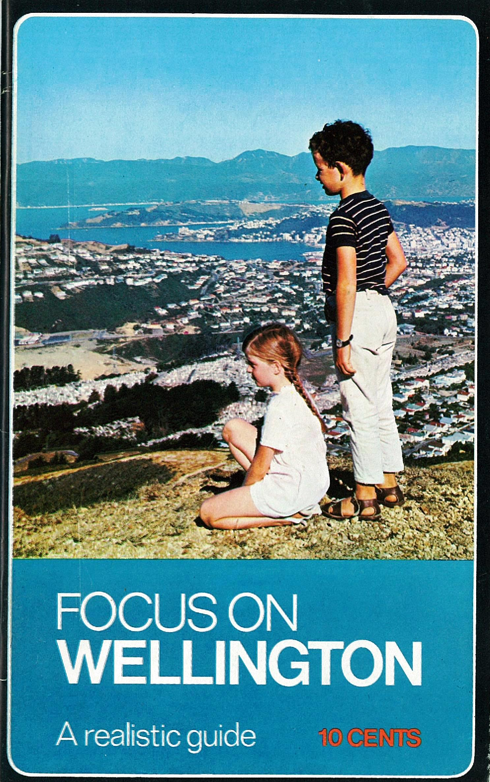 Focus on Wellington : a realistic guide 