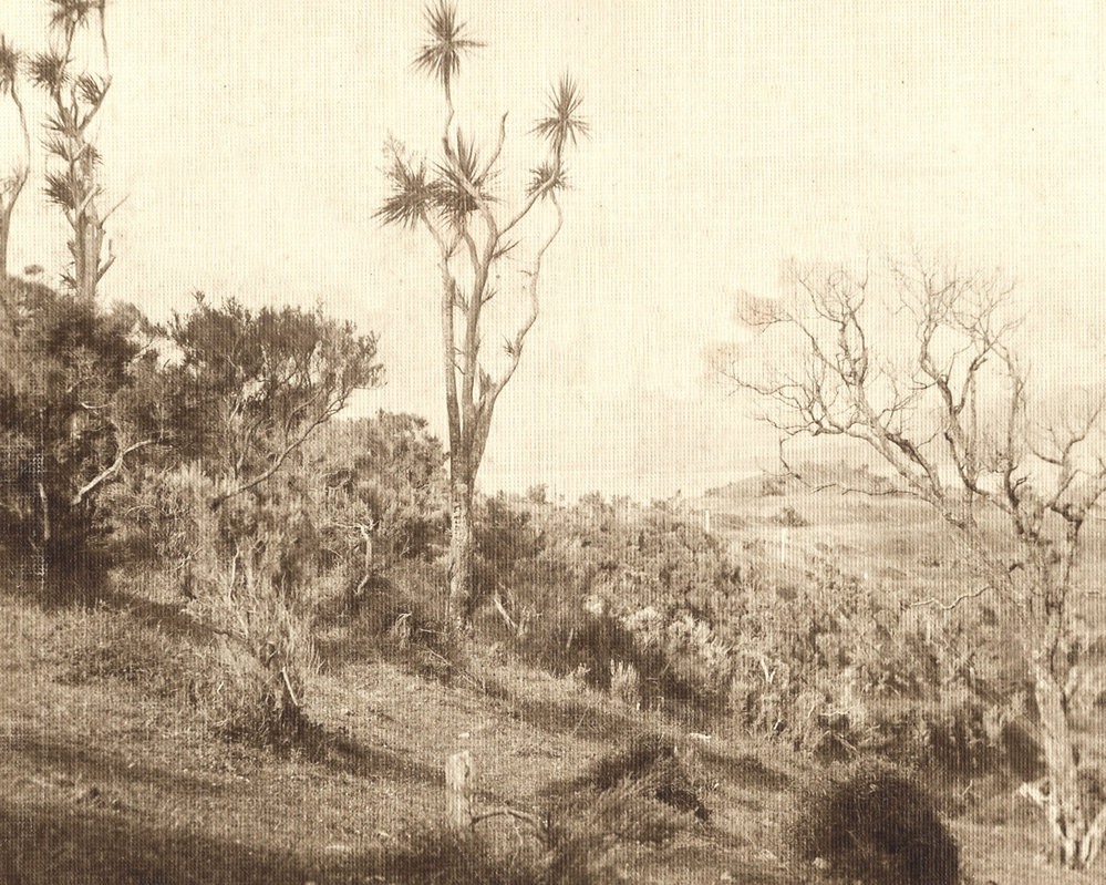 Hataitai / Roseneath