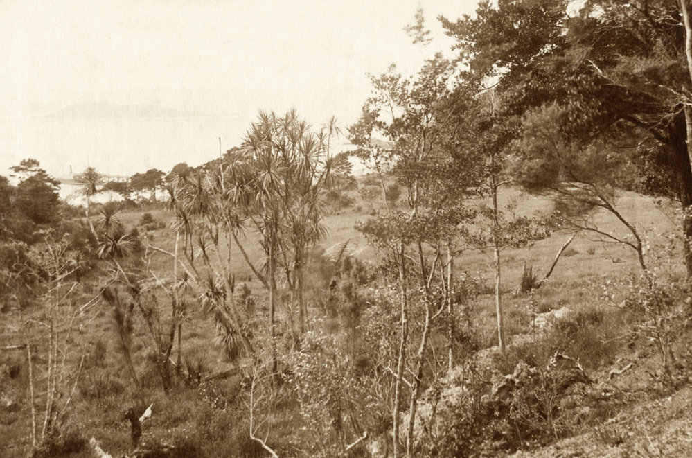 Days Bay, Eastbourne