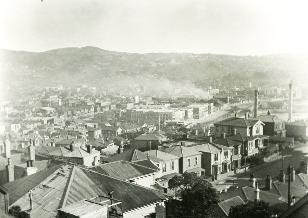 Te Aro from Mt Victoria