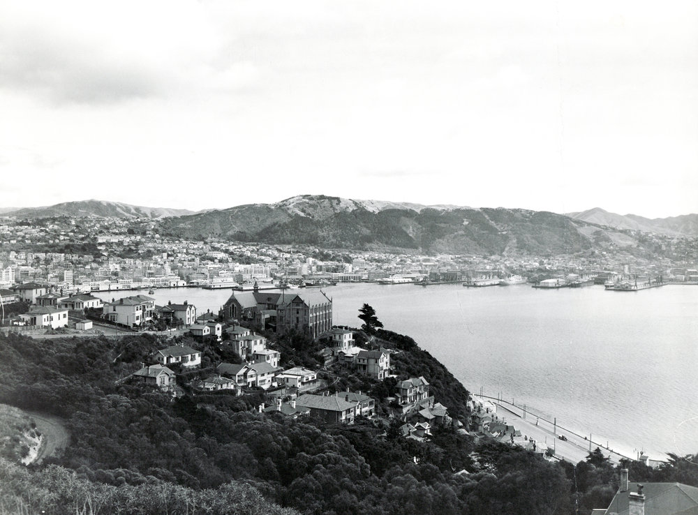 Wellington from Mt Victoria