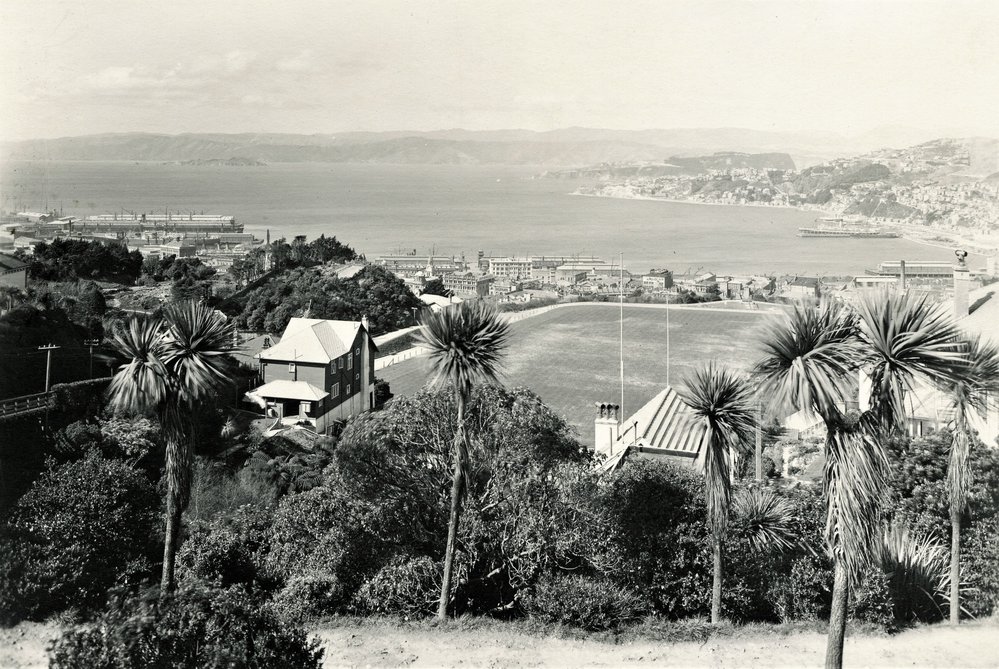 Wellington from Kelburn