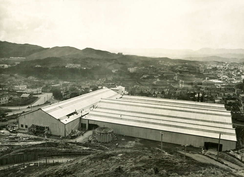Winter Show Buildings, Newtown