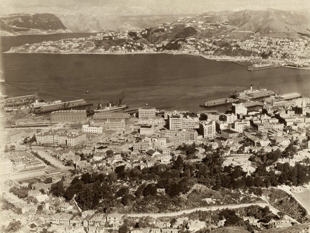 Wellington from  Te Ahumairangi / Tinakori Hill