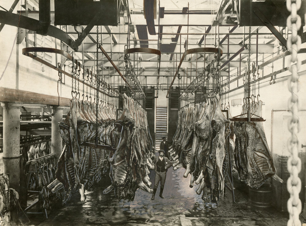 Wellington Municipal Abattoir, Ngauranga