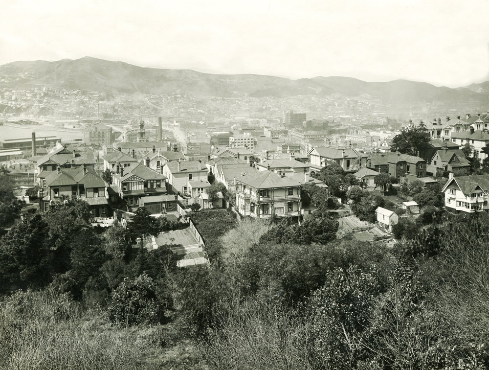 Te Aro as viewed from The Terrace