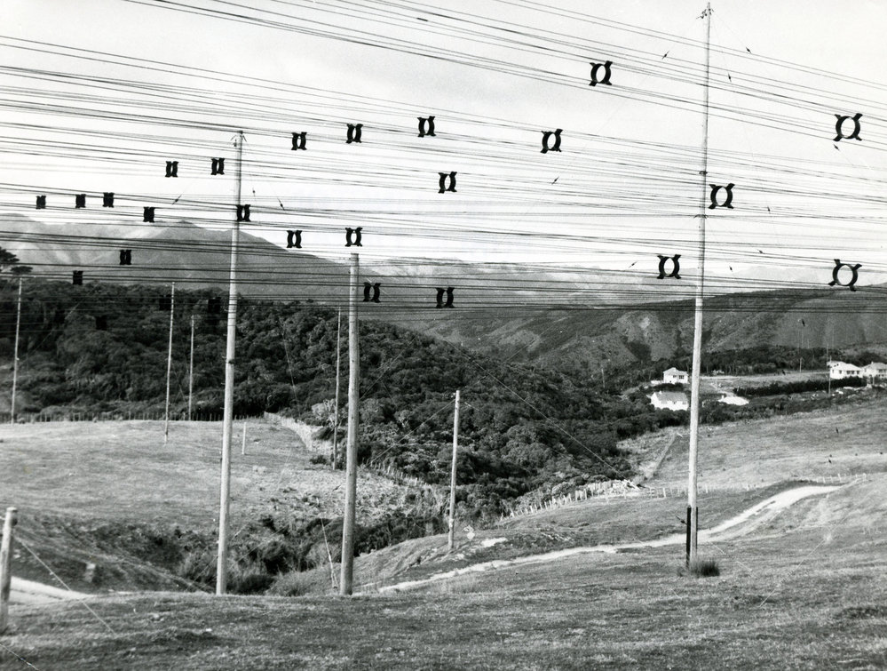 Feedlines from aerial arrays at the Makara Radio receiving station