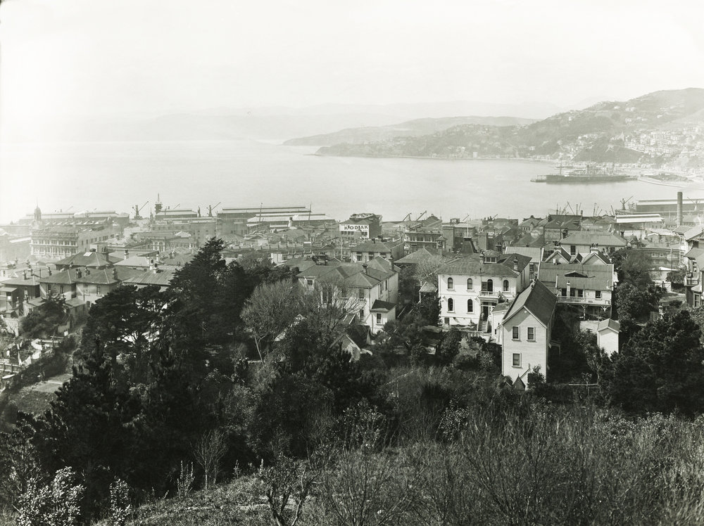 Wellington City and Harbour
