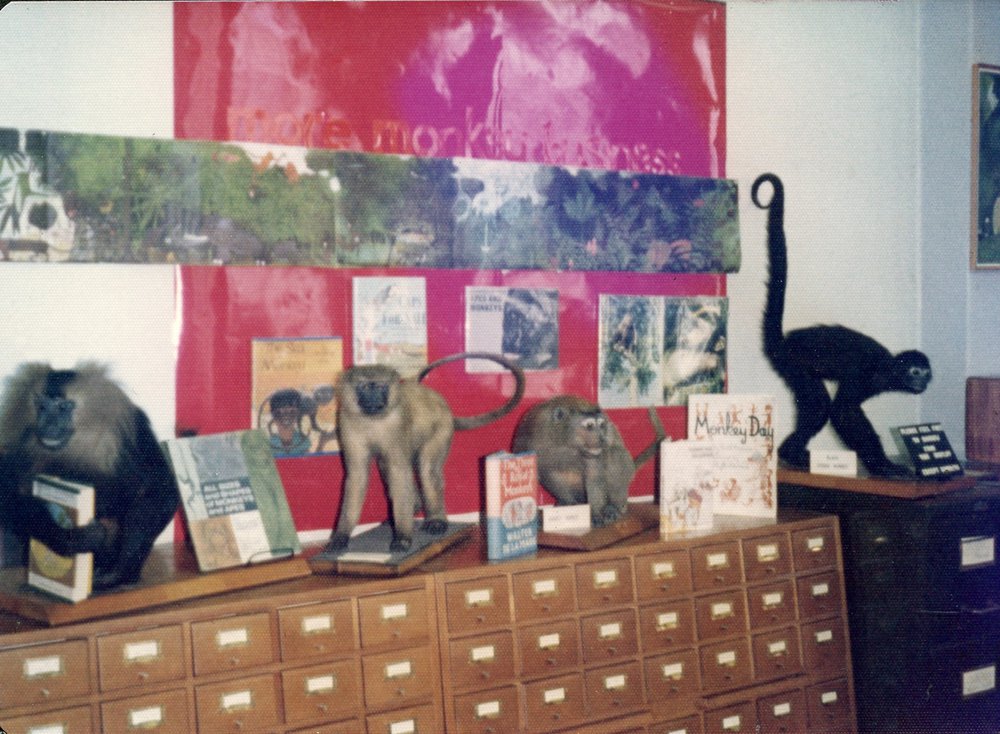 Children's Library display