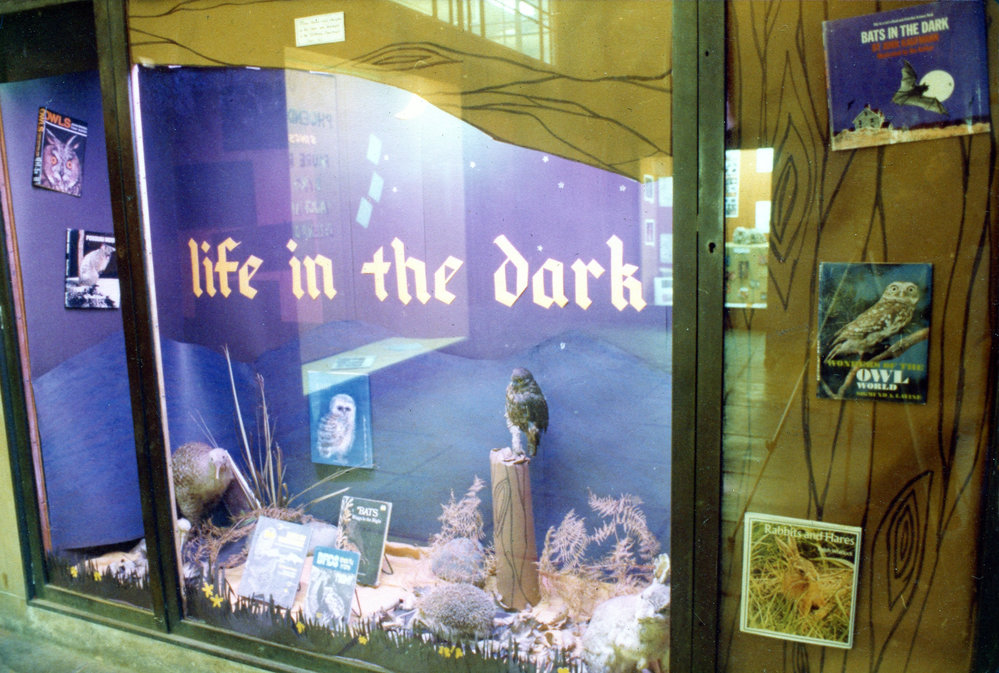 Library display 1978