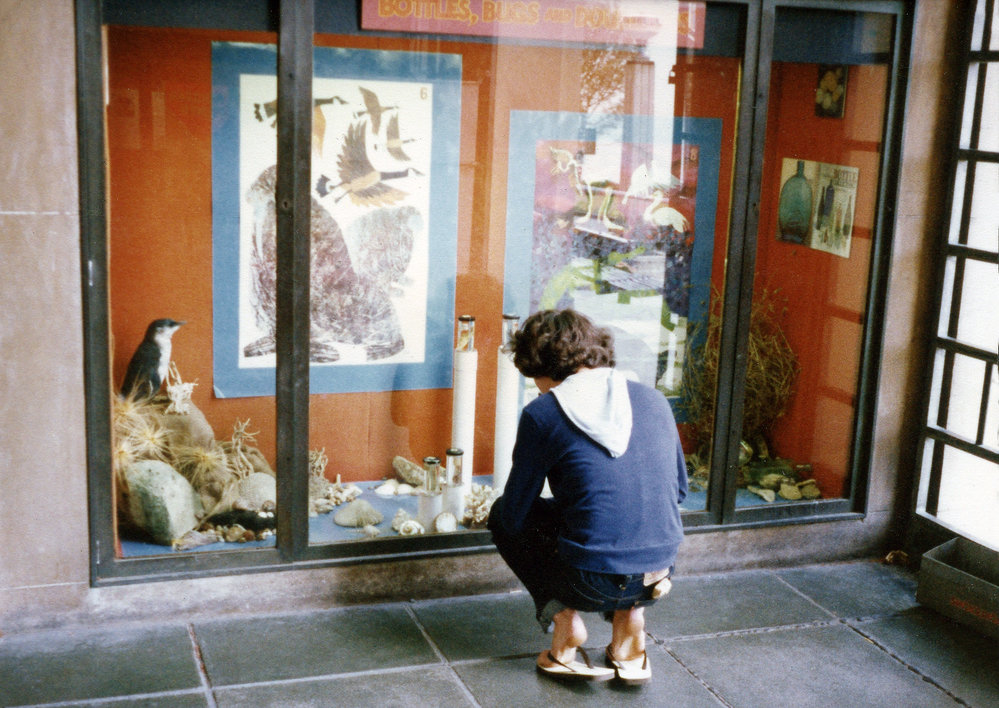 Library display 1979