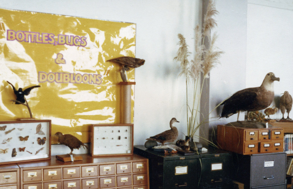 Children's Library display