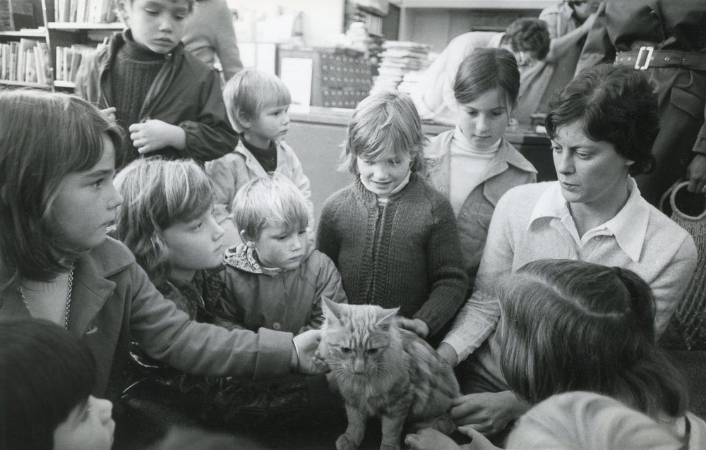 Cat in the Children's library 
