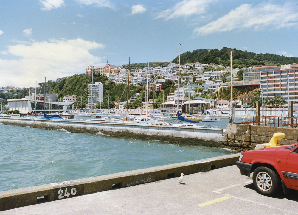 Mt Victoria and Oriental Bay 