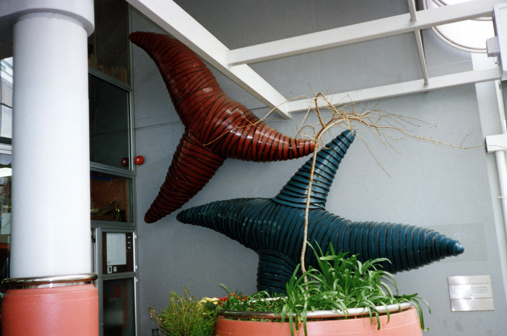 Starfish, Robert Jesson