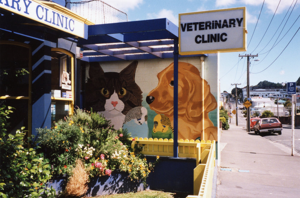 Mural, Tasman Street Veterinary Clinic