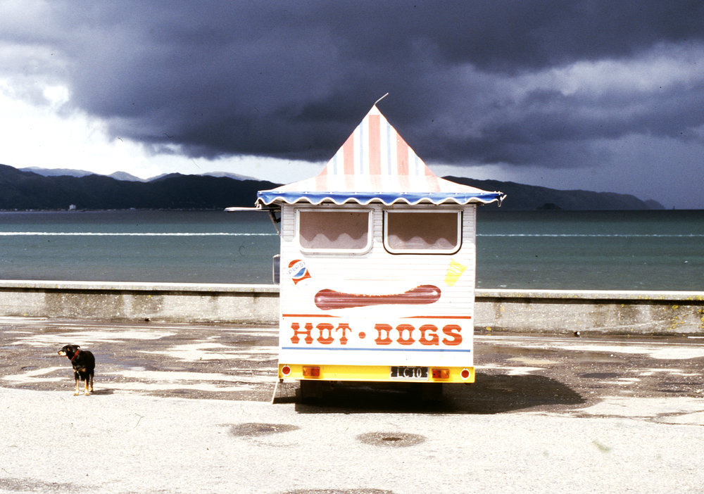 Petone foreshore