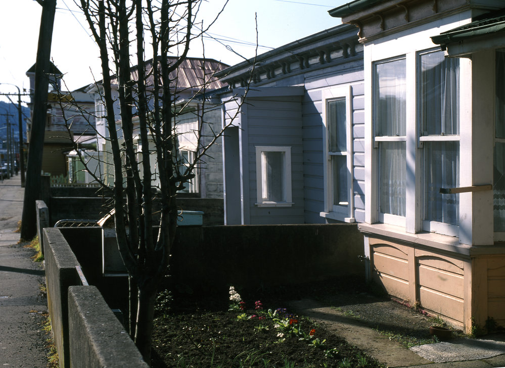 Mansfield Street, Newtown 