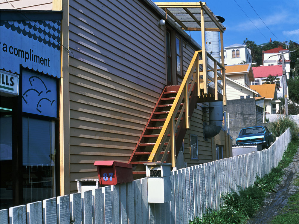 Aro Street, Aro Valley