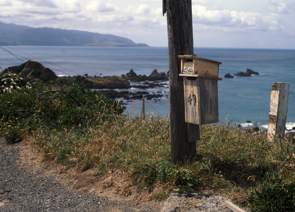 Letterbox above Island Bay