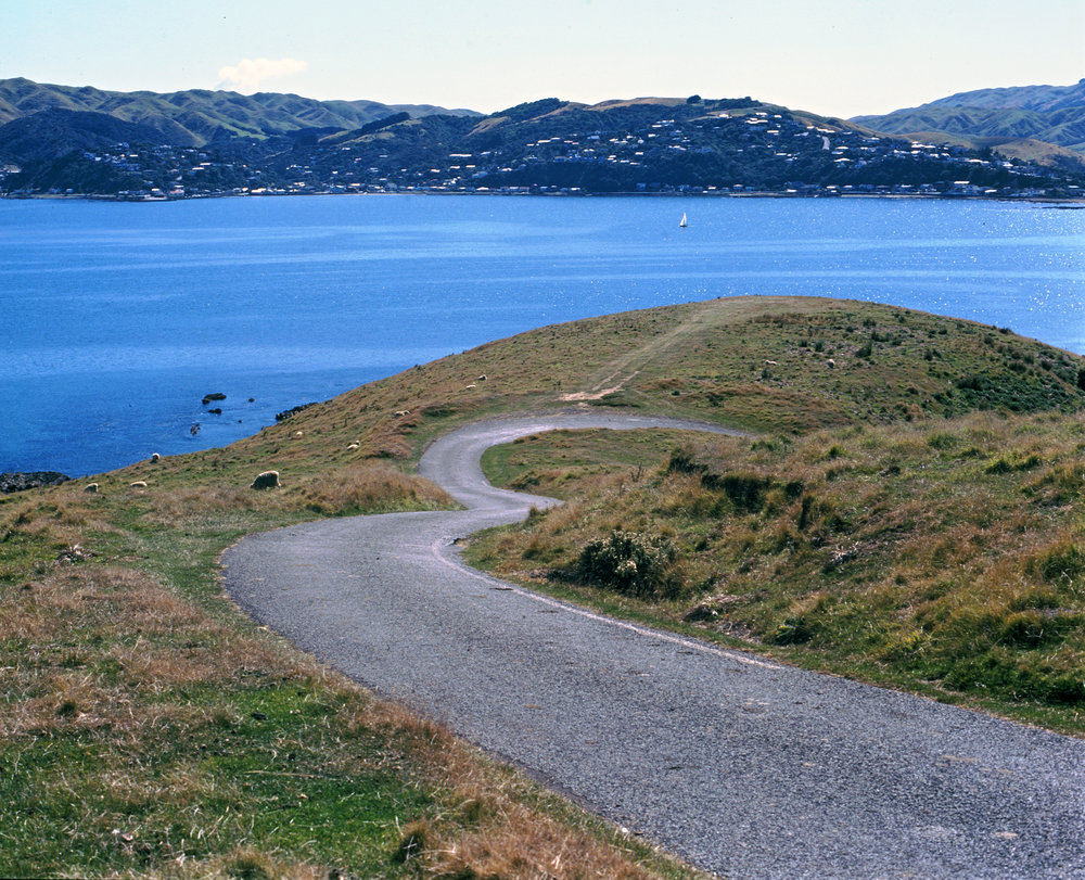 Whitireia Park, Tītahi Bay