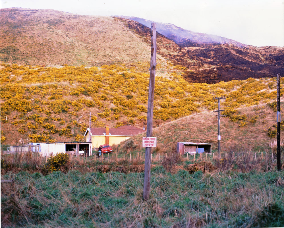 Hydatids Dog Dosing Strip, Makara