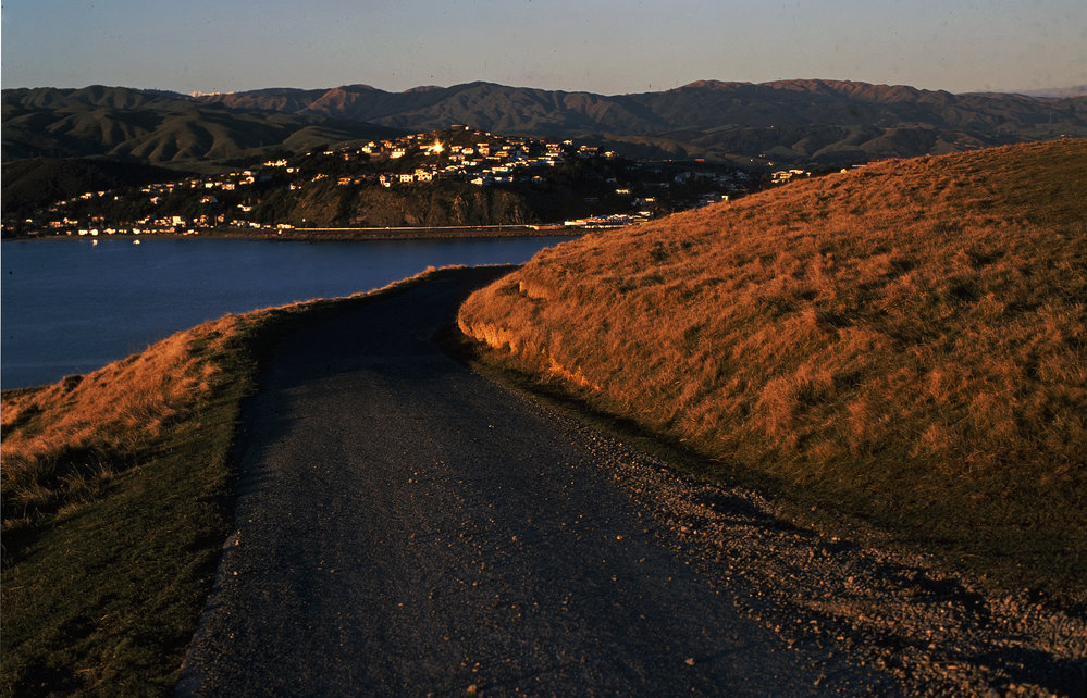 Whitireia Park, Tītahi Bay