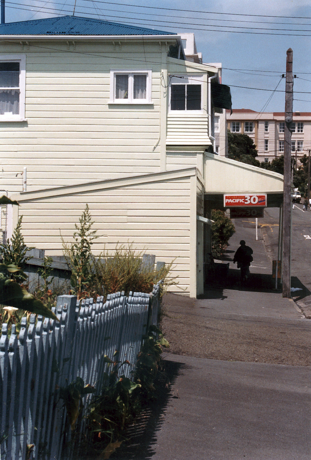 Austin Street, Mt Victoria