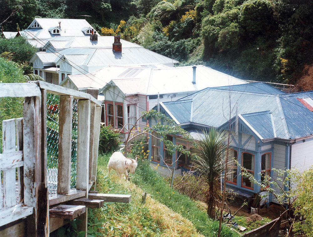 32 - 42 Devon Street, Aro Valley