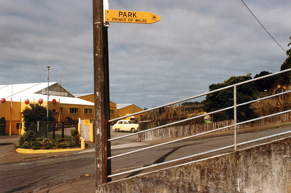 Hutchison Road and the Winter Show Buildings, Newtown