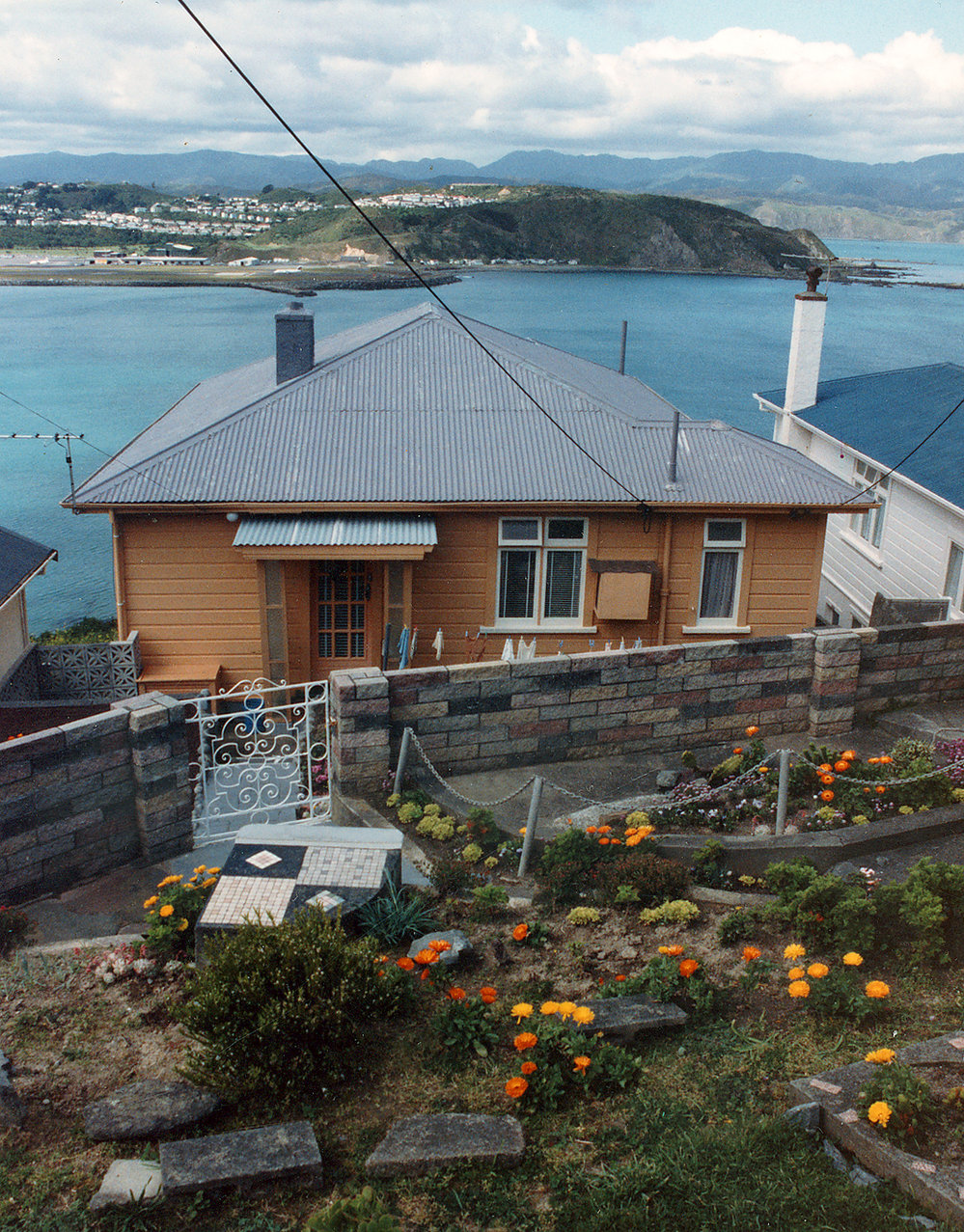 Lyall bay from View Road