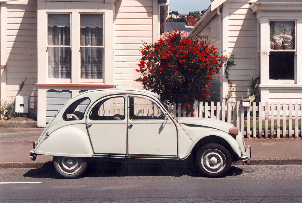 196 &amp; 198 Rintoul Street, Berhampore