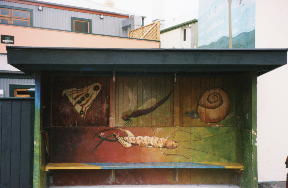 Bus shelter mural, Rintoul Street