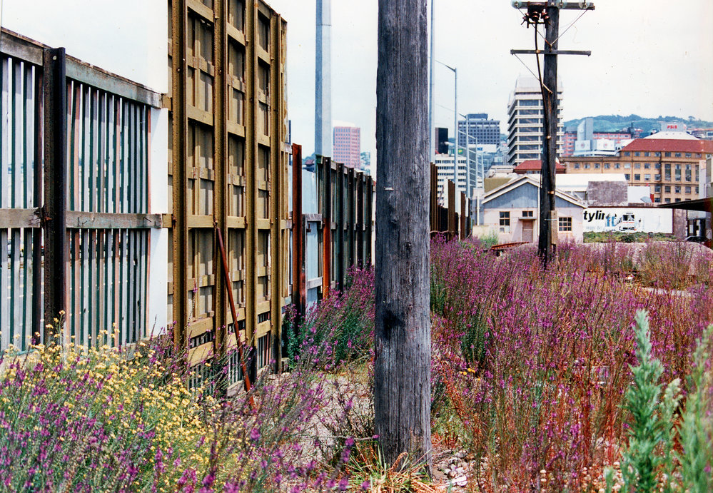 Advertising hoardings on an empty lot, Waterloo Quay