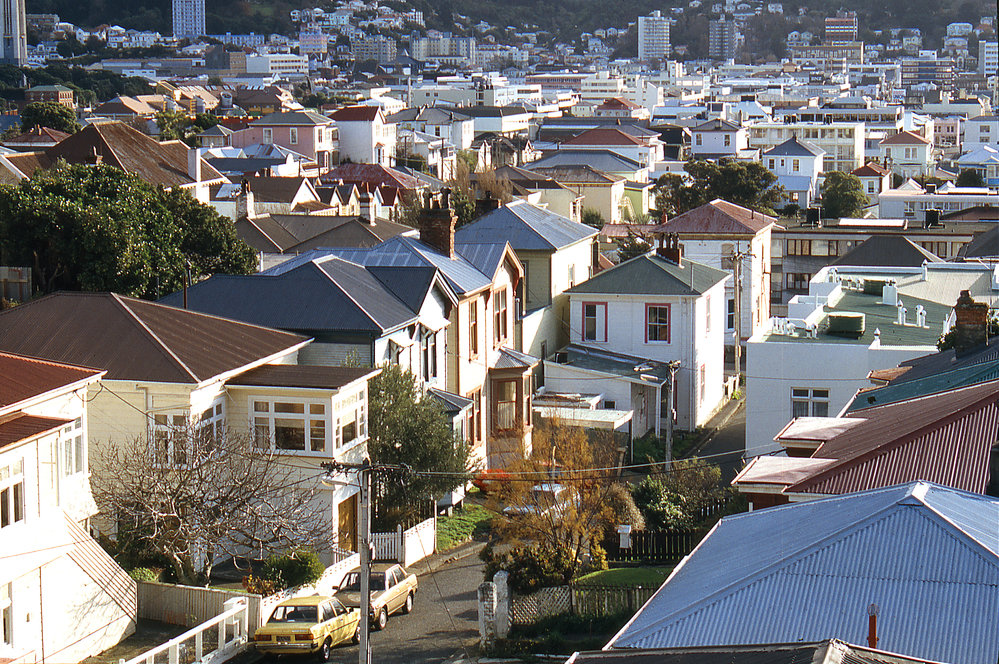 Rixon Grove, Mt Victoria