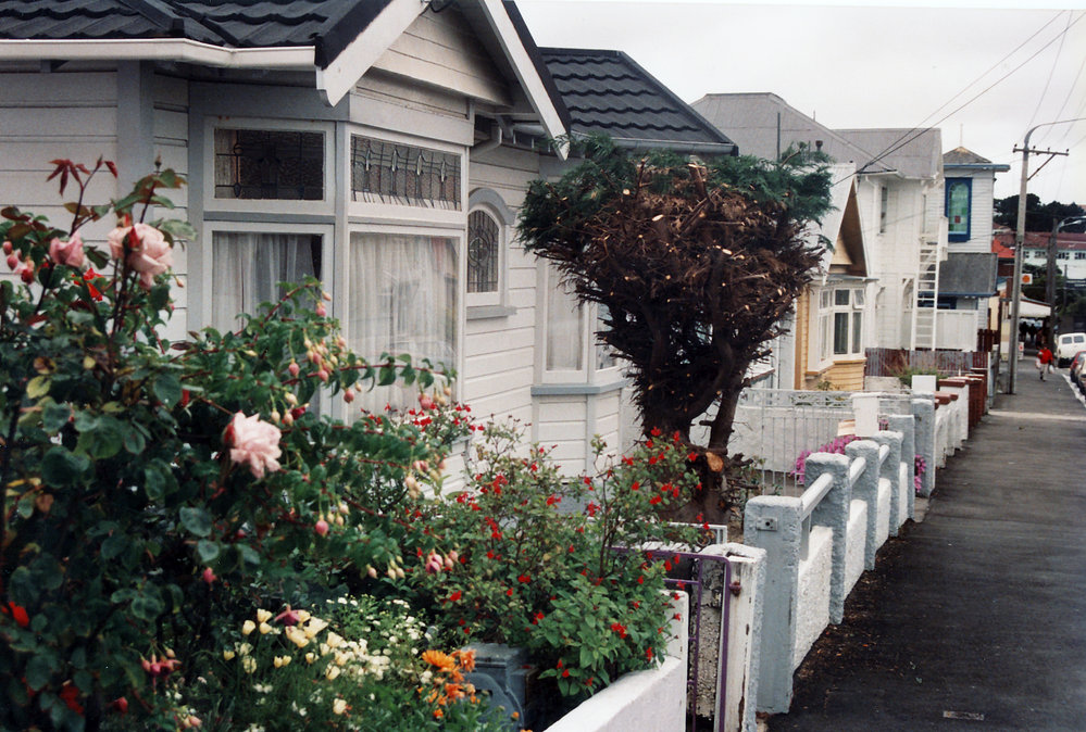 Rintoul Street, Newtown